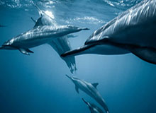 这场看似平静，赛果冷门，辽宁队赢了但不踏实，技术统计像一根刺，反差直接